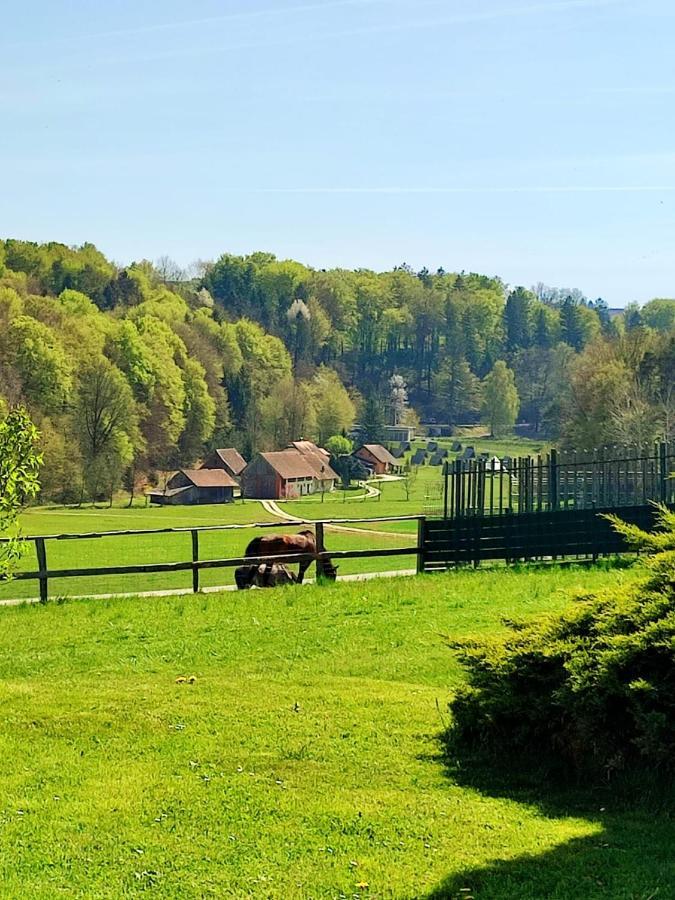 Apartma Kapelski Fant Sveti Jurij ob Scavnici Luaran gambar