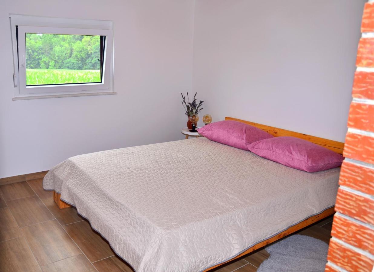 Apartma Kapelski Fant Apartment Sveti Jurij ob Scavnici Luaran gambar